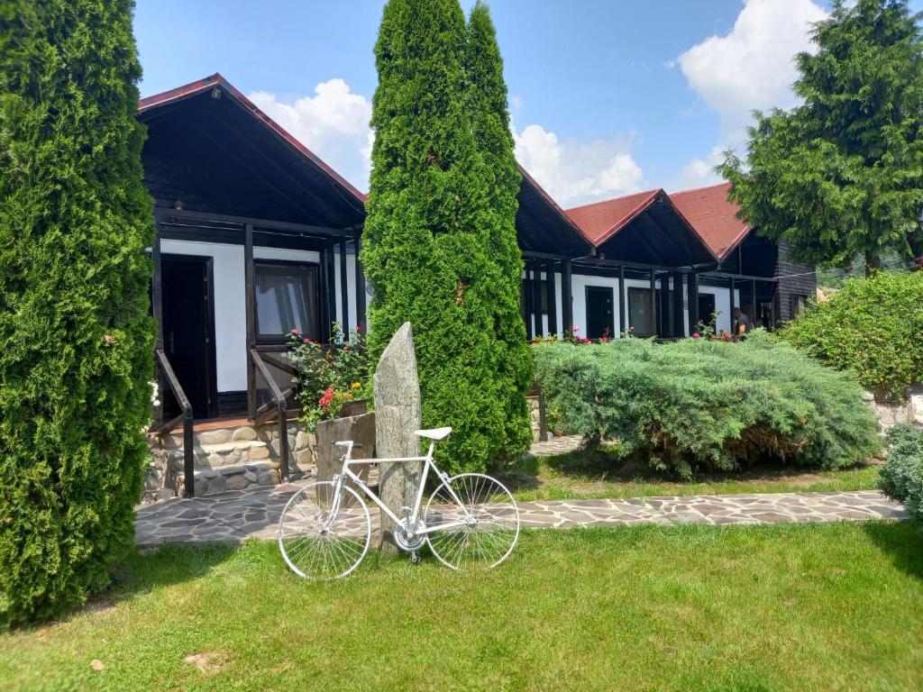 Complex Valea Argesului